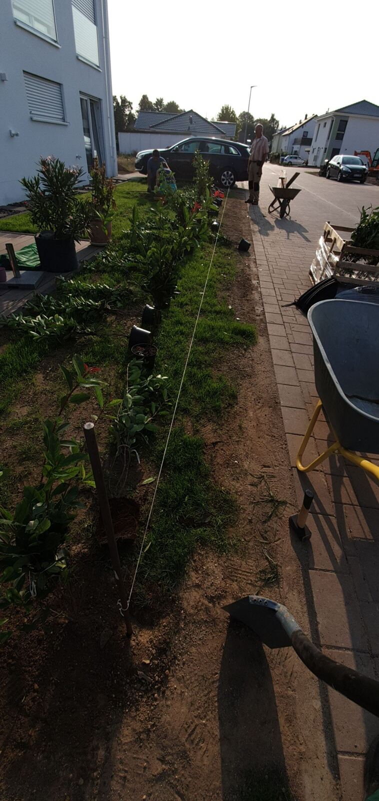 Heckenpflanzung und Gartenarbeiten in Gau-Bickelheim